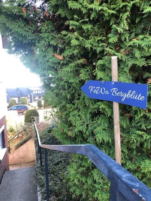 Ferienwohnung Bergbluete Braunlage Exterior foto