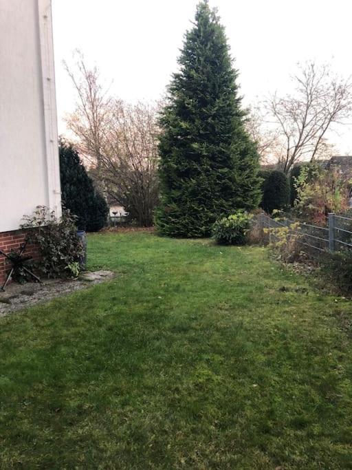 Ferienwohnung Bergbluete Braunlage Exterior foto