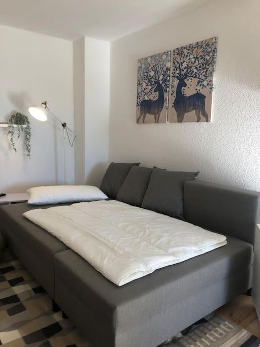 Ferienwohnung Bergbluete Braunlage Exterior foto